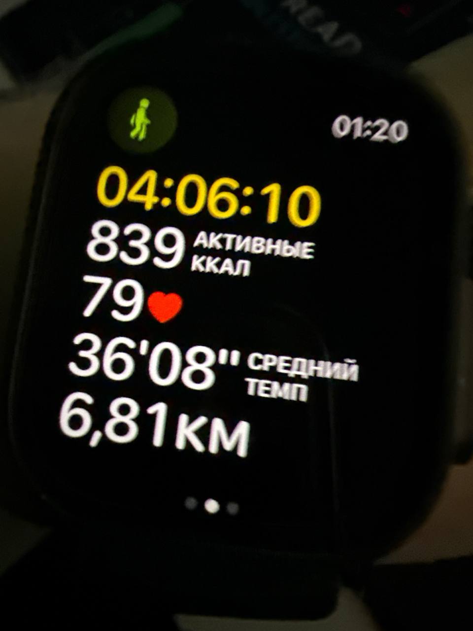 2026-07-20-ed-walk-001